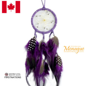 カナダ 先住民 ネイティブ インディアン アート ベントウッドボックス