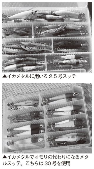 鹿島で夜イカ爆釣中