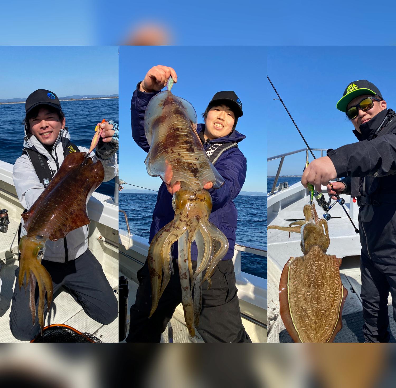 穂先でアタリをとる 春のティップラン～三重県志摩沖～ | Fishing