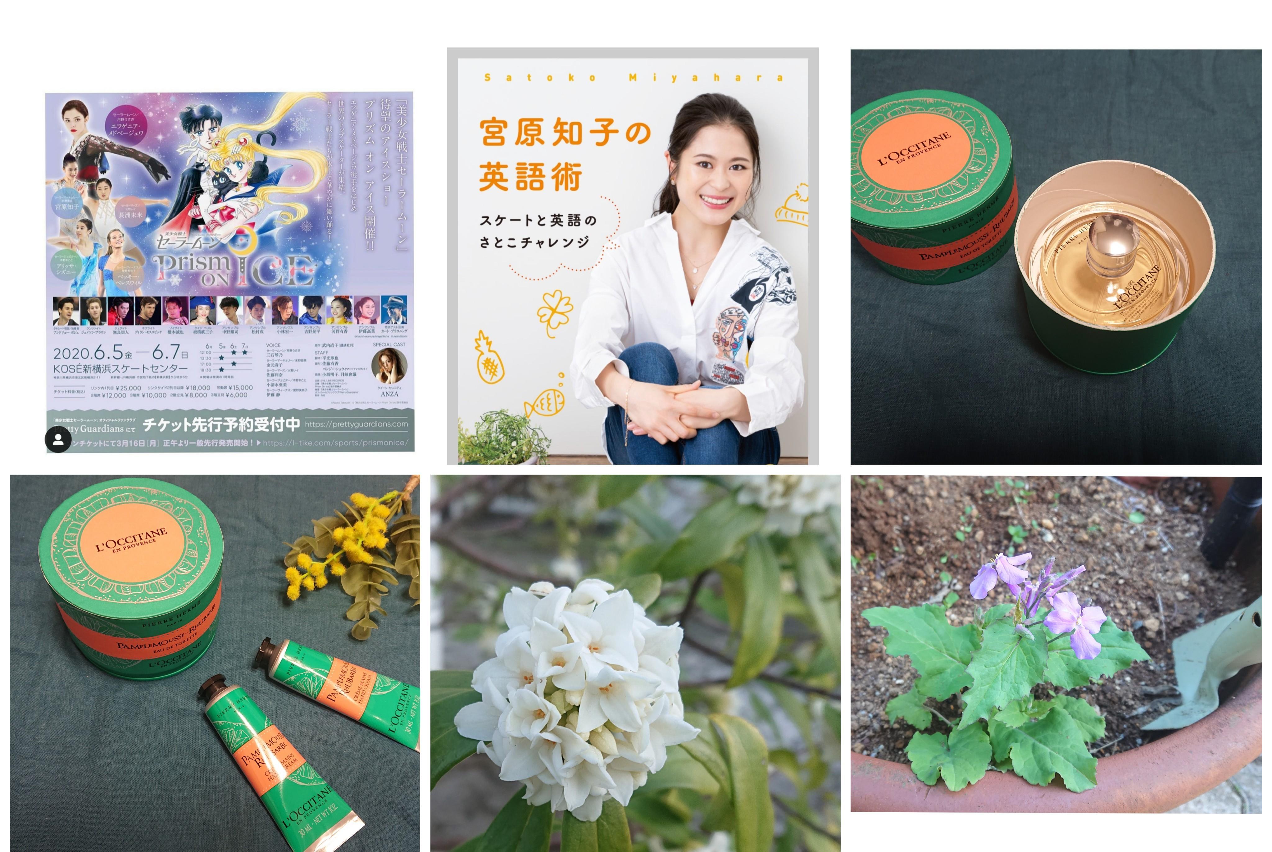 大好きな香りで憂鬱を吹き飛ばそう！遂にロクシタン×ピエール