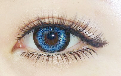 Diamond Lash(デイコレクション) / リトルウィンクシリーズ ハニーeye