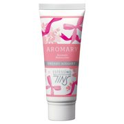 TiNS / アロマリー アロマ モイスチュアライザー ドリーミーブーケ (DB