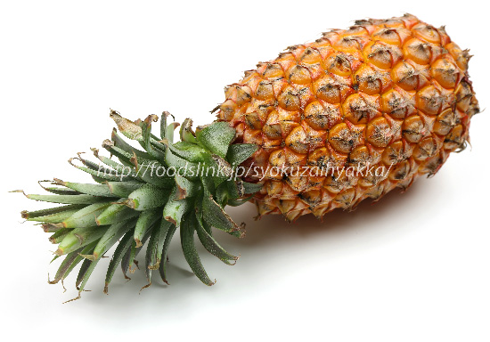 写真で見る台湾産完熟パイン／台農17号＜パイナップルの品種：旬の果物百科