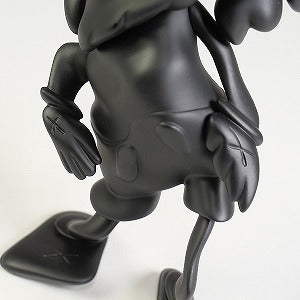 KAWS カウズ ×MEDICOM TOY KAWS COMPANION (ROBERT LAZZARINI version