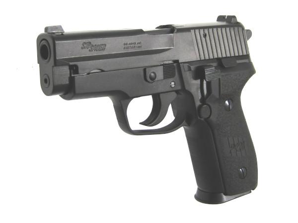 タナカワークス: モデルガン本体 SIG P228 EVO2 フレームHWの通販情報