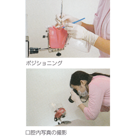 製品詳細「シンプルマネキンⅢ」 | フォルディネット