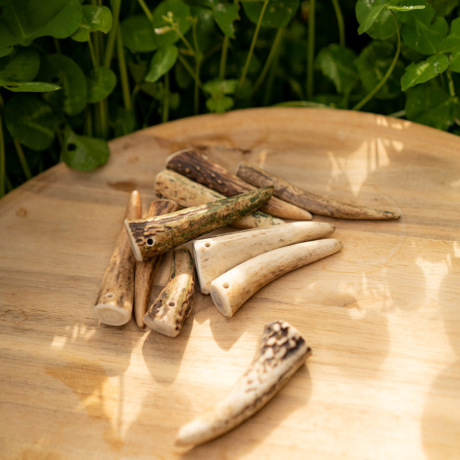 鹿の角の先端 10P – Forema - フォレマ