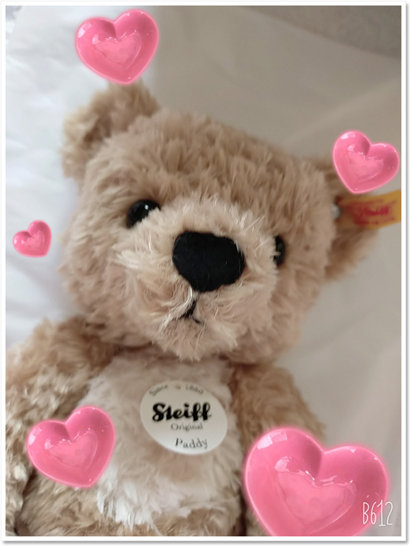 シュタイフ テディベア1907 レプリカ 35cm EAN403514