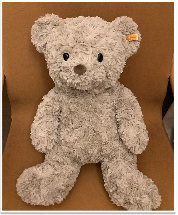 シュタイフ テディベア モーツァルト 16cm EAN674938