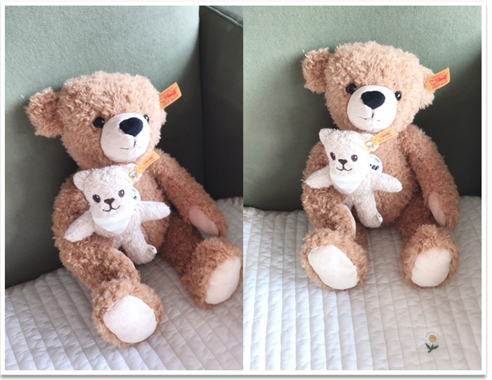 シュタイフ 日本限定ロイヤルベビーテディベア 100周年記念 35cm EAN675751