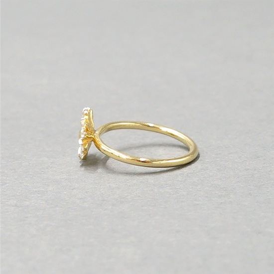 daisy ring～ﾃﾞｲｼﾞｰﾘﾝｸﾞ | flower／フラワー公式通販