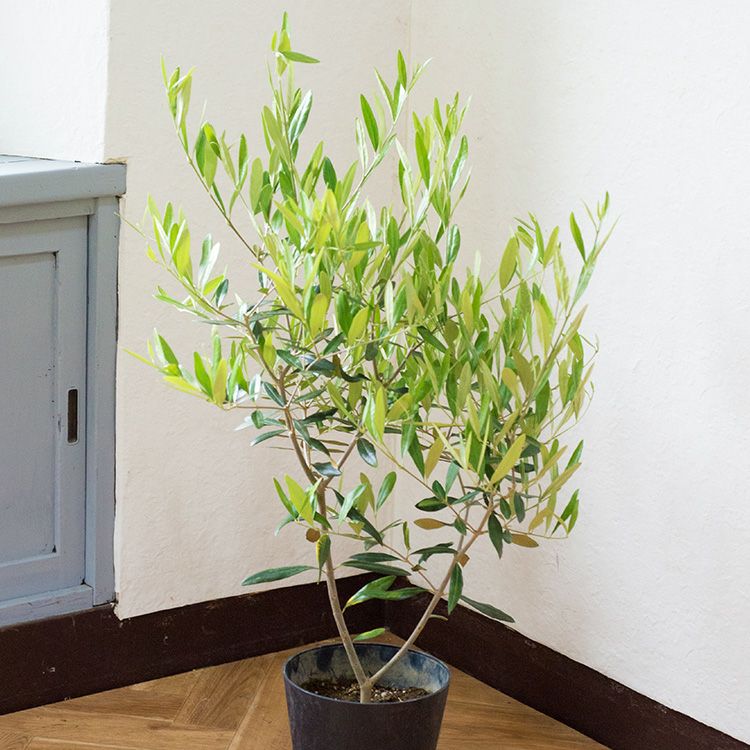 000000000193-16.jpg?size=l&w=