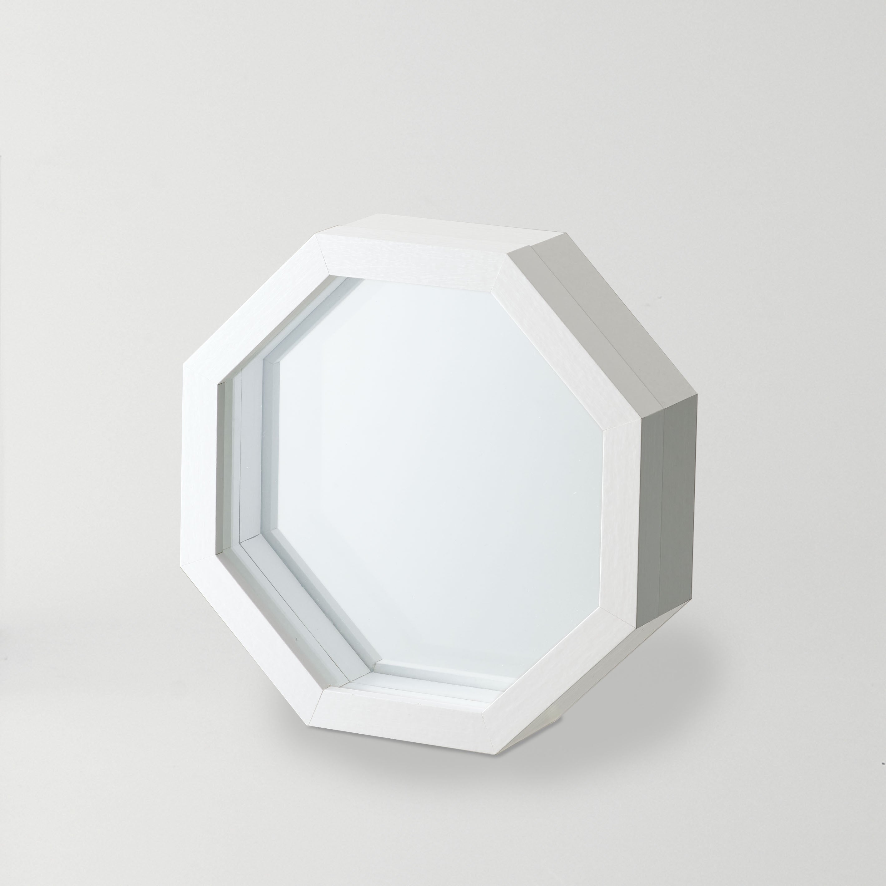 インテリアにおすすめ！標本フレームみたいな【herbier (八角形