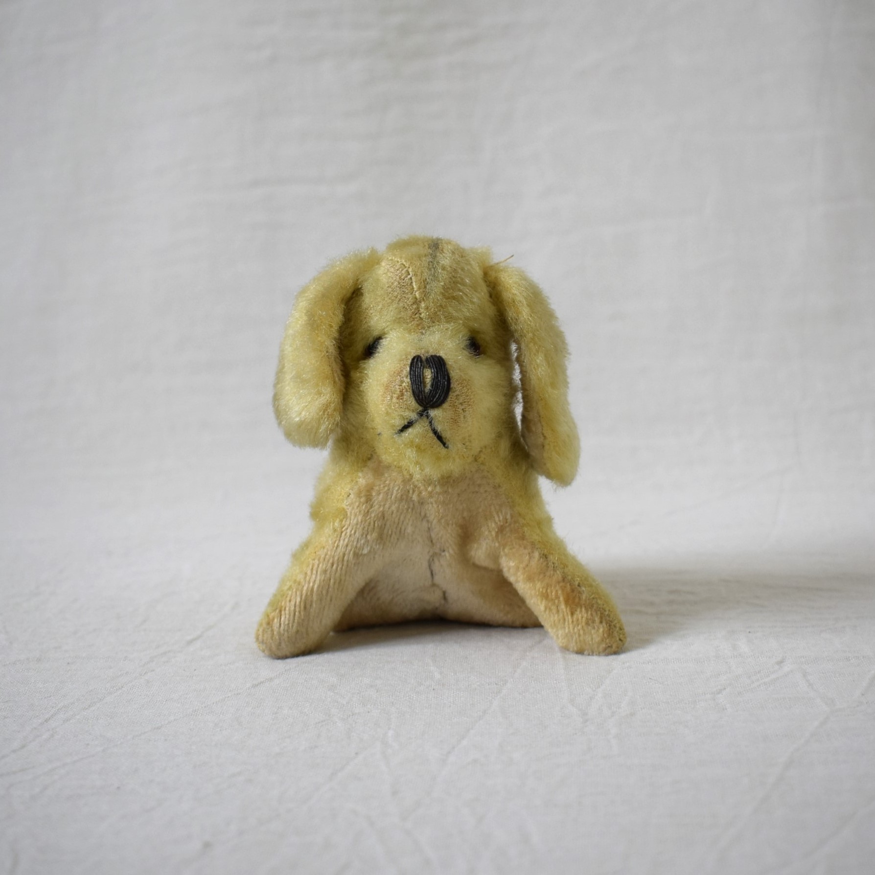 古い犬のぬいぐるみ / Steiff・シュタイフ | florantik