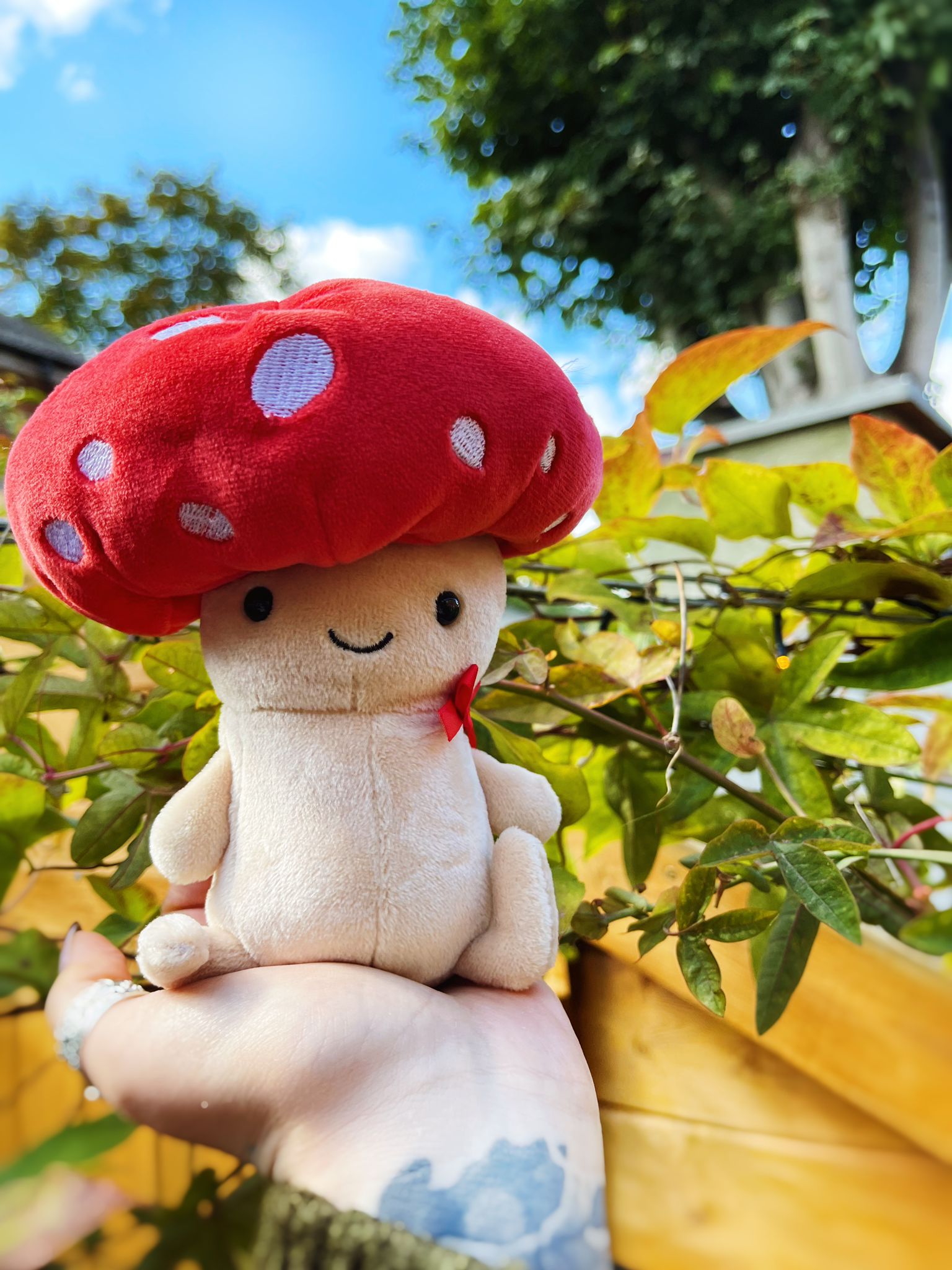 Jellycat Mushroom | Soft Toys + Gifts