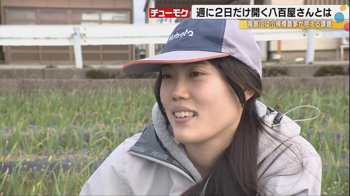 img_50b79a7061de1007201b6333fd