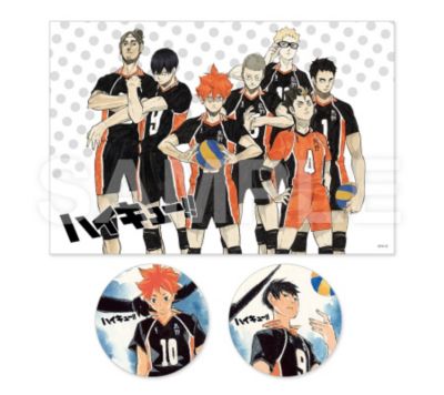 ハイキュー!!(ハイキュー!!)の『ハイキュー!!』コンビセット 日向