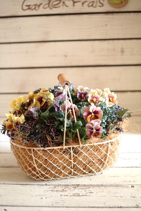 寄せ植え 鉢 ジャンクガーデン 寄せ植え 花苗通販 Garden Frais