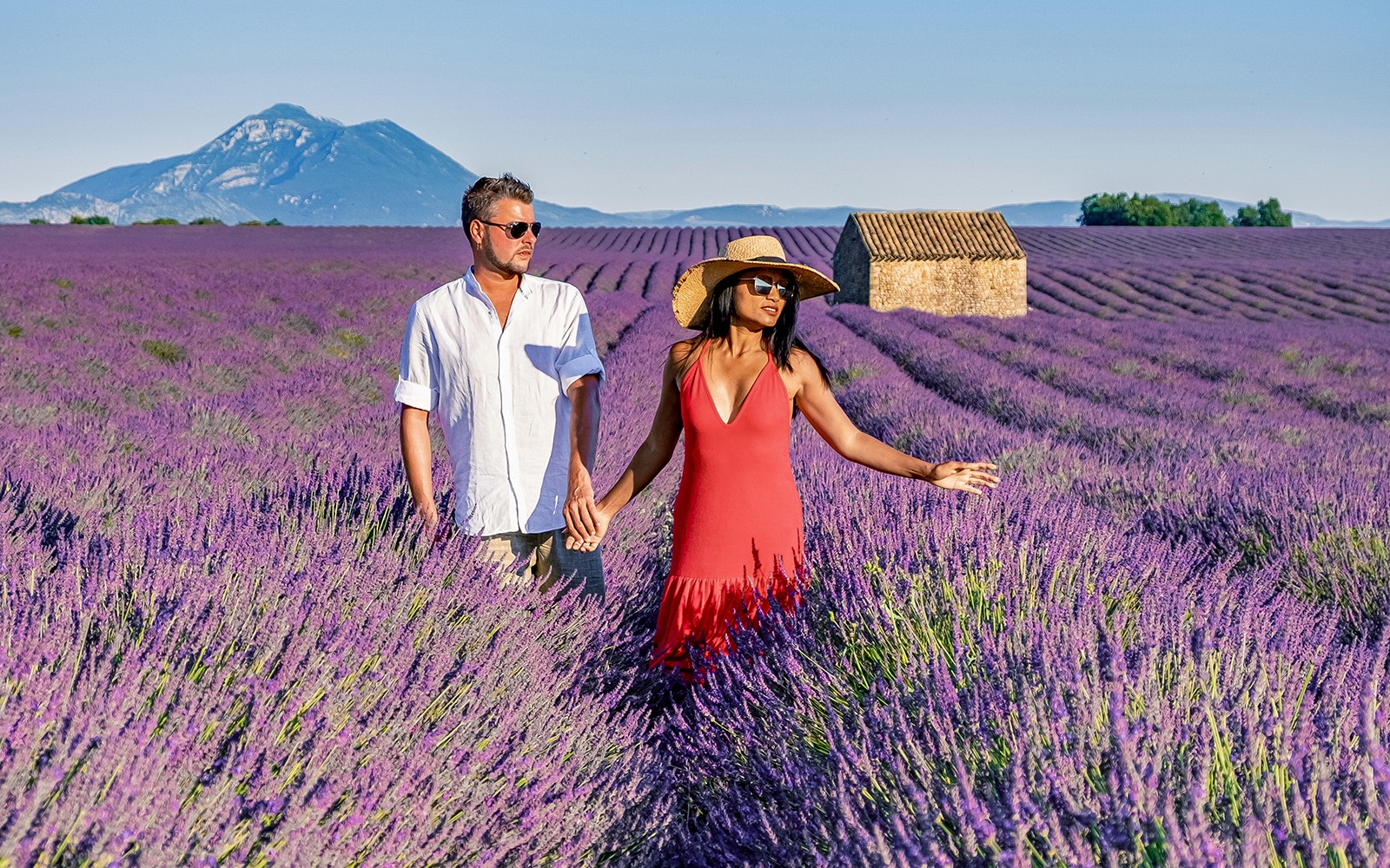 ニース発 ヴェルドン峡谷とラベンダー畑 少人数ツアー