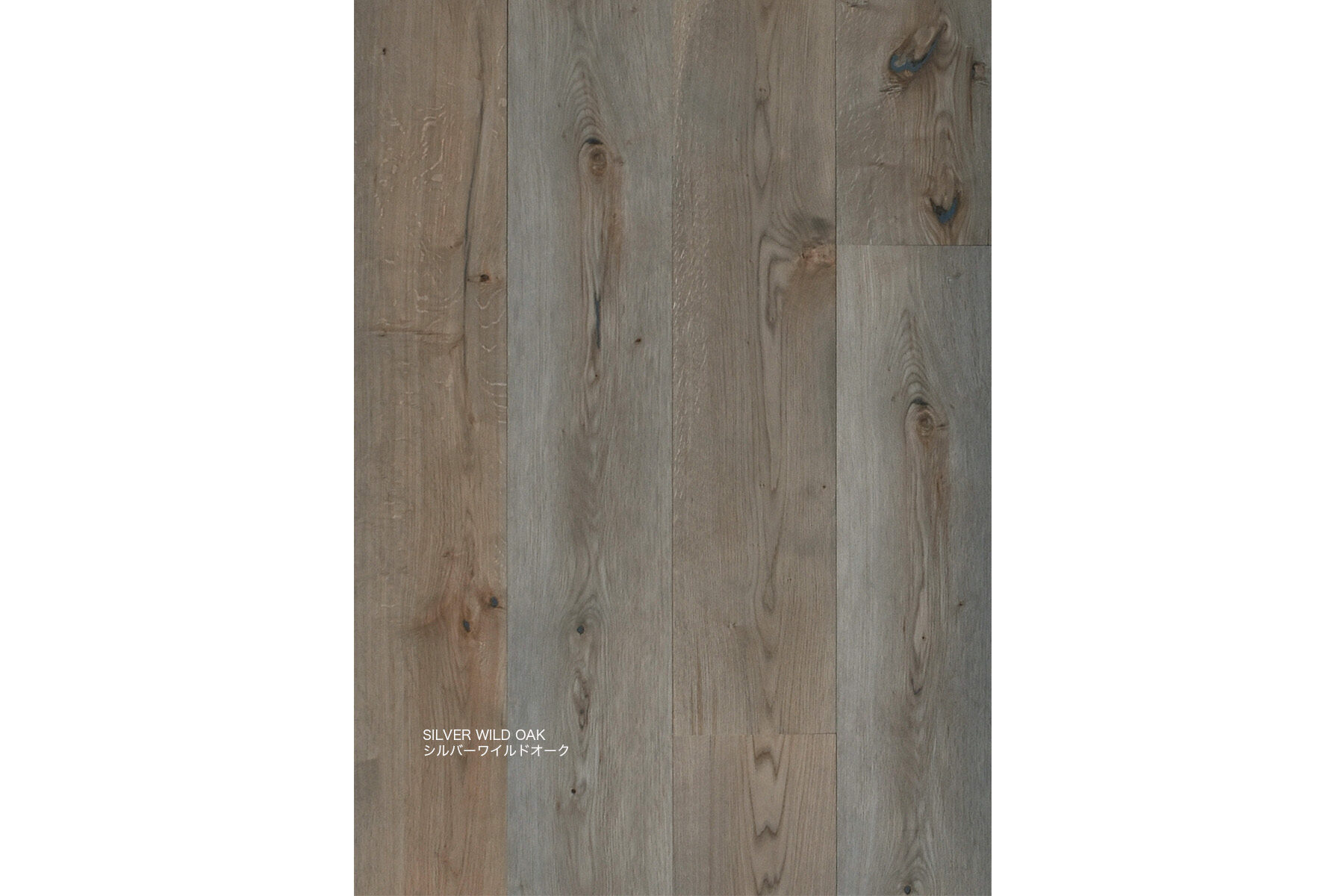 FREEBOARD NARA | FREESTYLE CREATIONS