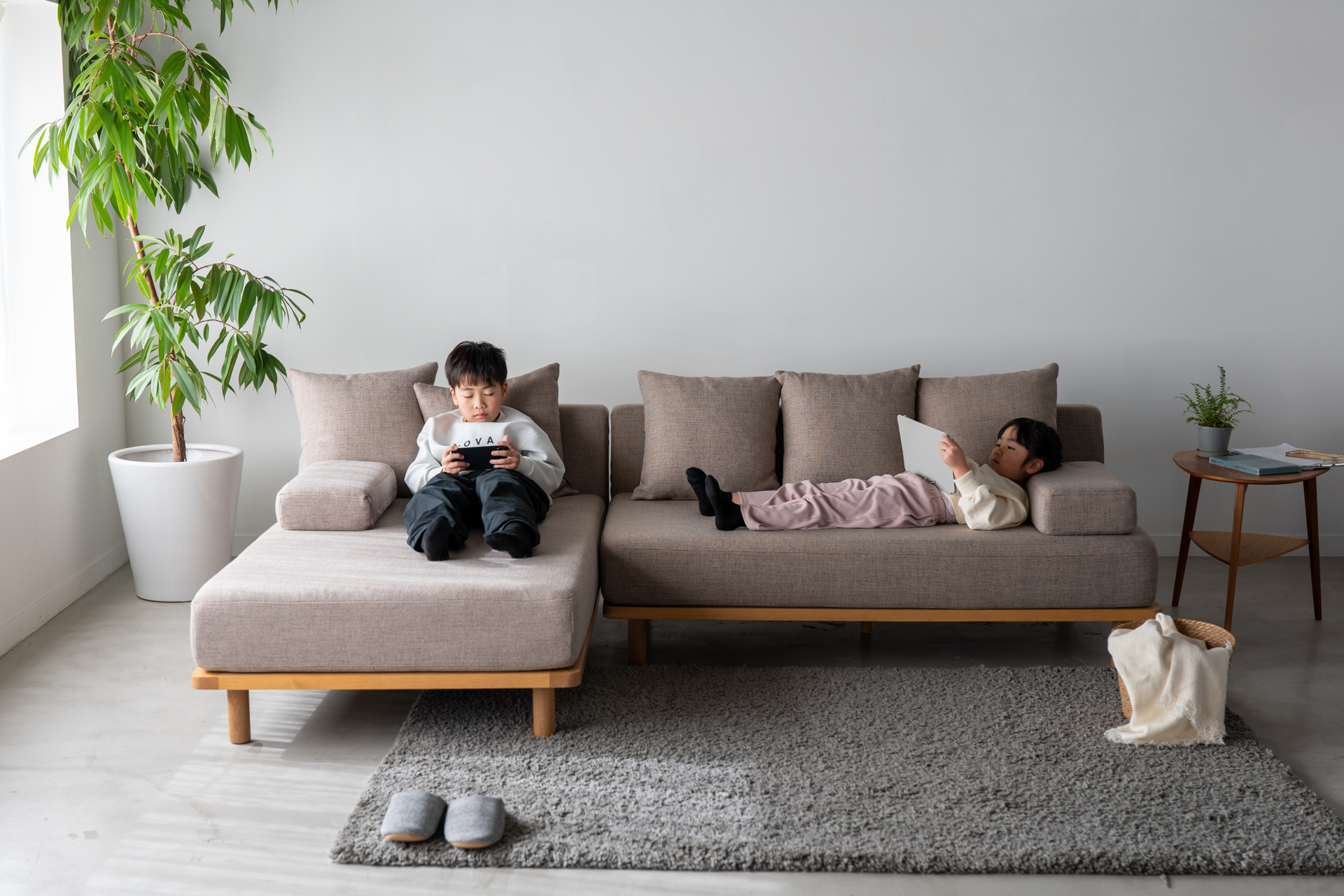 クッションでくつろぐソファ - オーナーとペットの境界のない暮らしを