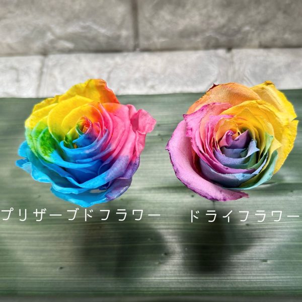 柔らかな虹色の輝き】レインボーローズをプリザーブド加工で保存した2