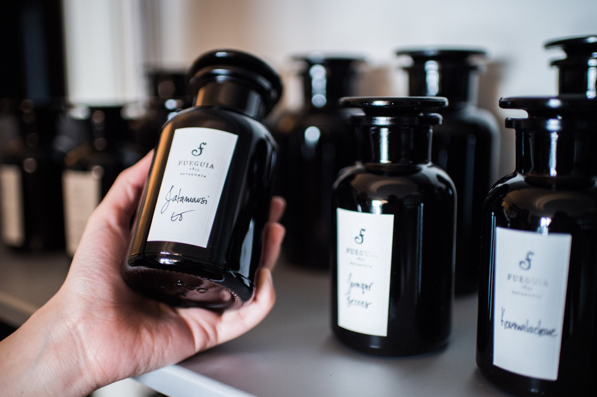 FUEGUIA 1833 | Dama de Noche｜ダマ デ ノーチェ – FUEGUIA 1833