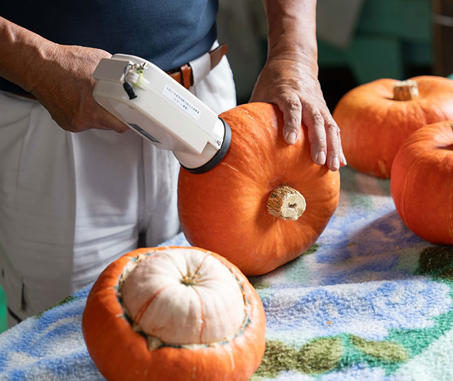 わがまち自慢・ふくしまプライド。紀行 | 奥会津金山赤カボチャ