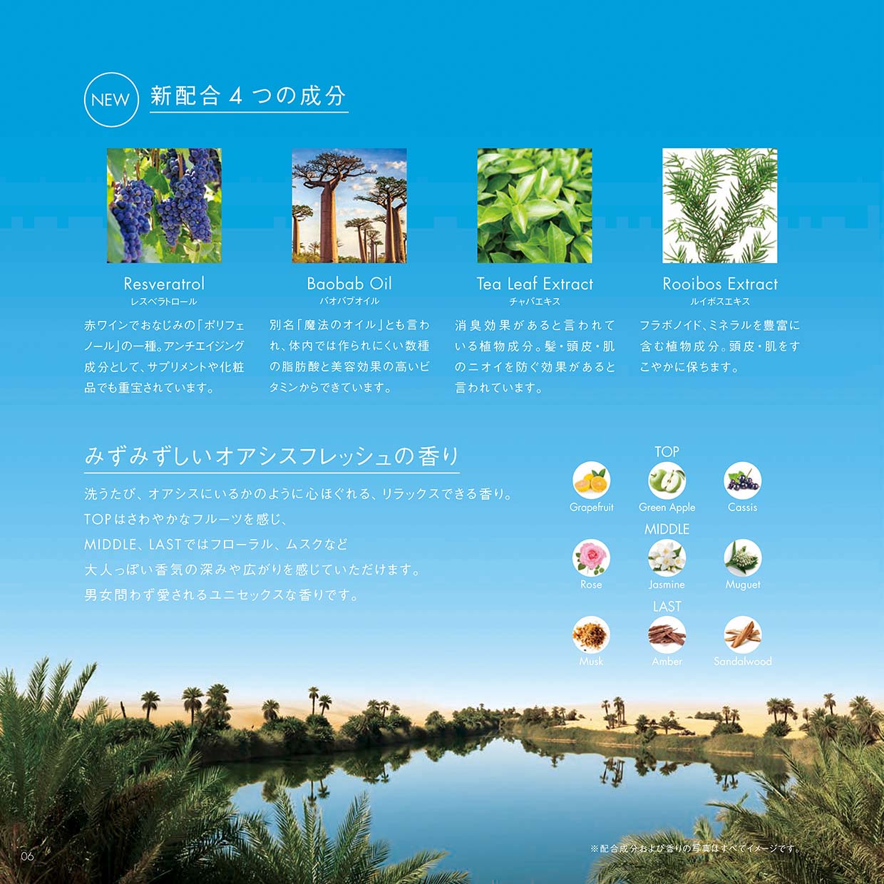 ケース販売］POLA カラハリ デイリーシールドミルク［日焼け止め乳液