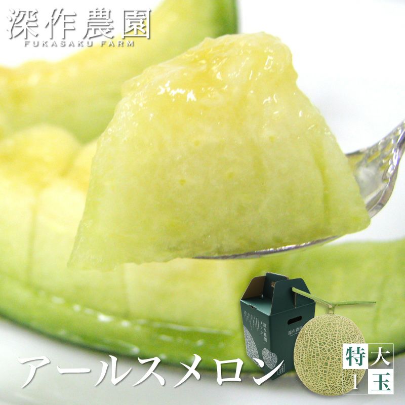 10日以内発送】メロン アールスメロン melon_earls_XL1 特大サイズ1玉
