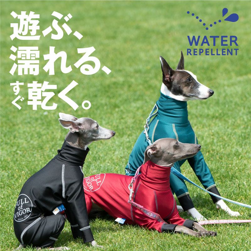 イタグレ用 伸びて 着せやすい ドッグプレイ(R) サークル プリント 撥