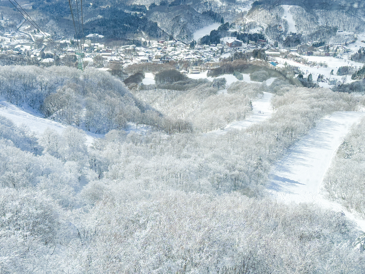 特集記事】SORAMADO cafe 1387｜標高1387Mの絶景カフェ スノーシュー