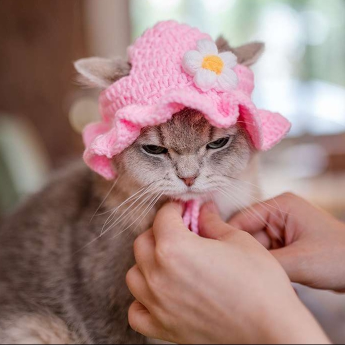 猫服 帽子 | お花付きフリル猫ちゃん帽子 帽子|猫服専門通販 ねこはぴ