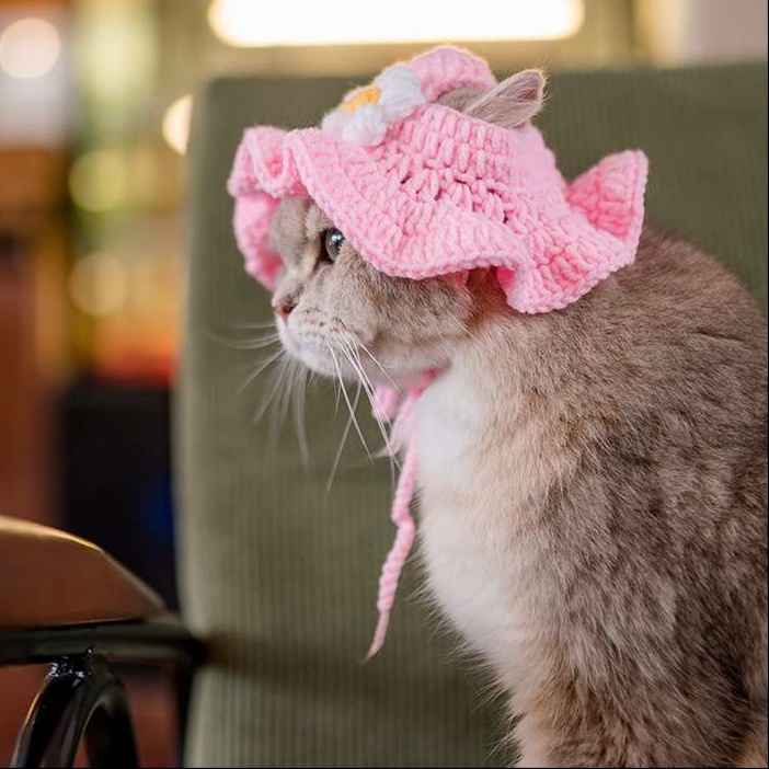 猫服 帽子 | お花付きフリル猫ちゃん帽子 帽子|猫服専門通販 ねこはぴ