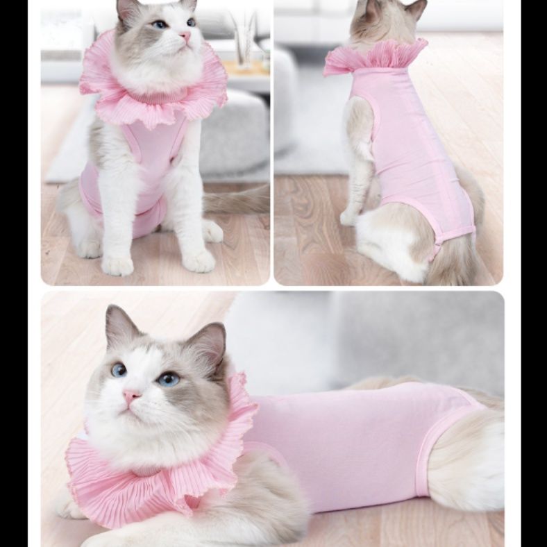 猫服 フリル襟付き猫用 術後服 術後服|猫服専門通販 ねこはぴ