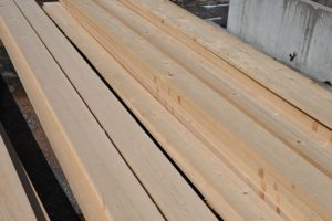 能登ヒバとは？特徴や効果、活用事例を紹介｜能登ヒバ販売ならフルタニ