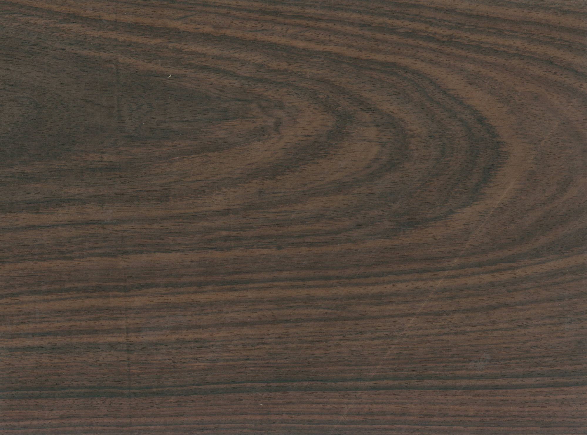 ローズウッド（紫檀）の木材としての魅力や用途について解説