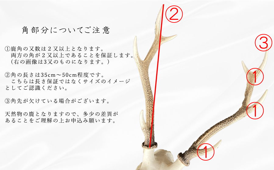 003edb8668-1701399191