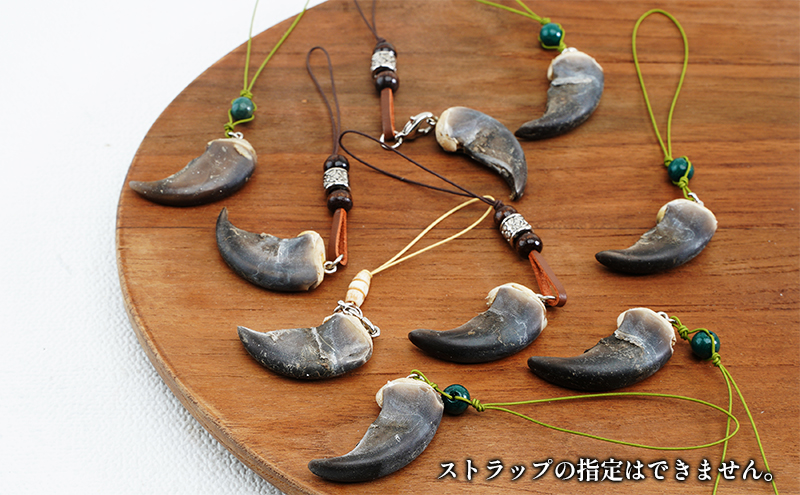 北海道枝幸産 ヒグマの爪ストラップ 4cm前後 くま 熊 ヒグマ 羆 アクセ