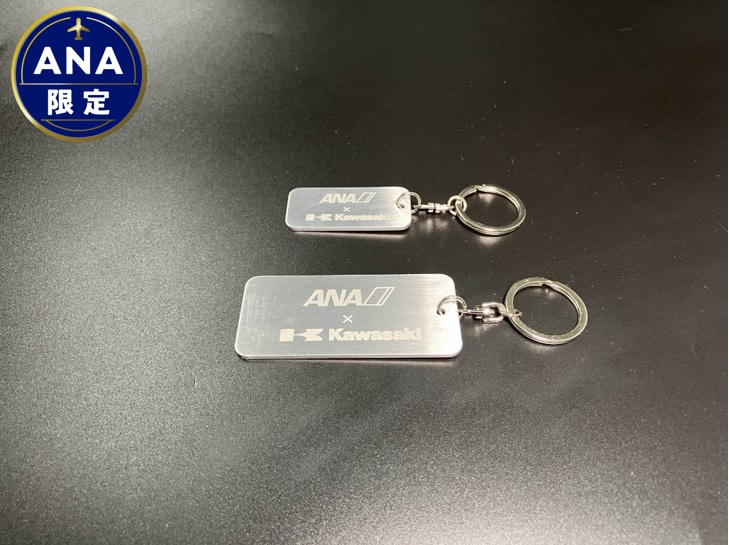 262 【ANA限定】B737 川重・ANAコラボアップサイクルエンジンブレード