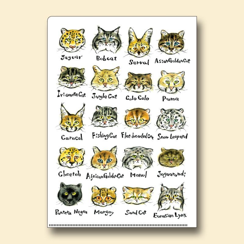 山下健一郎 クリアファイル 3種セット クリアファイル