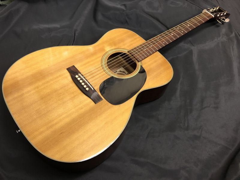 Aria / F-130 Martinロゴ - HR/HMギター専門店 FUTURE WORLD