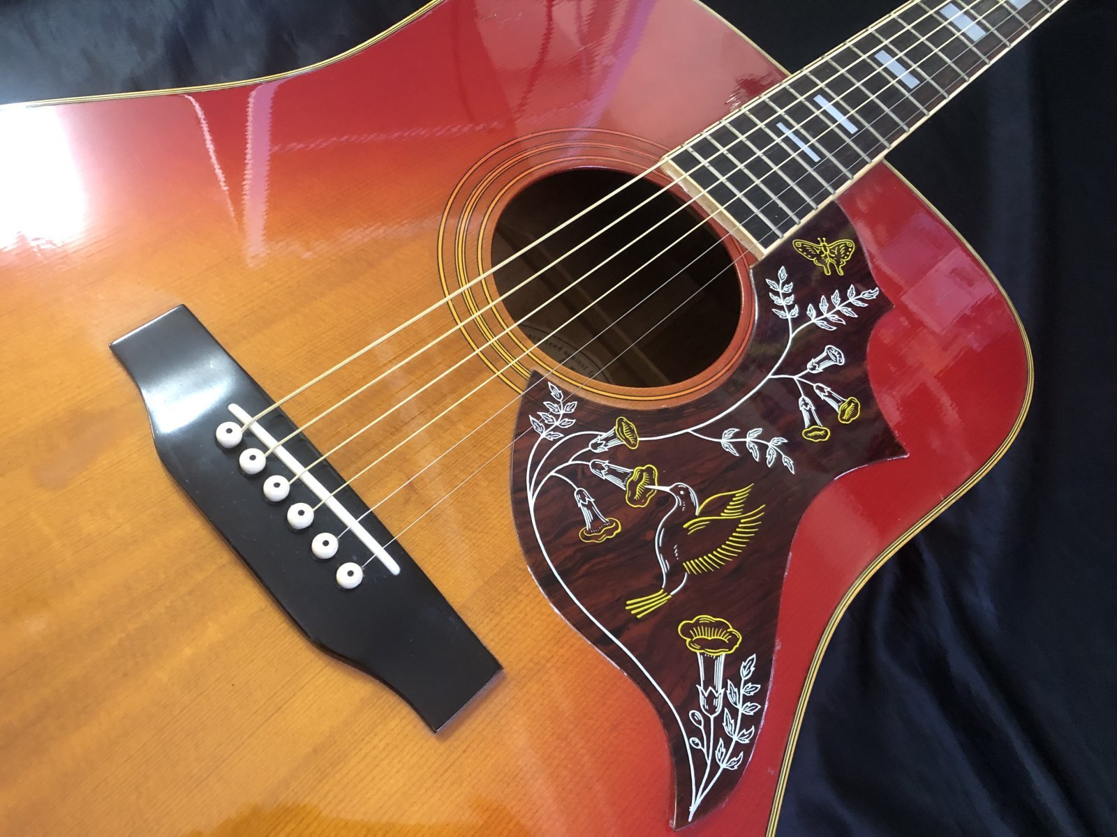 Morris / WH-25 ハミングバード 日本製 - HR/HMギター専門店 FUTURE WORLD