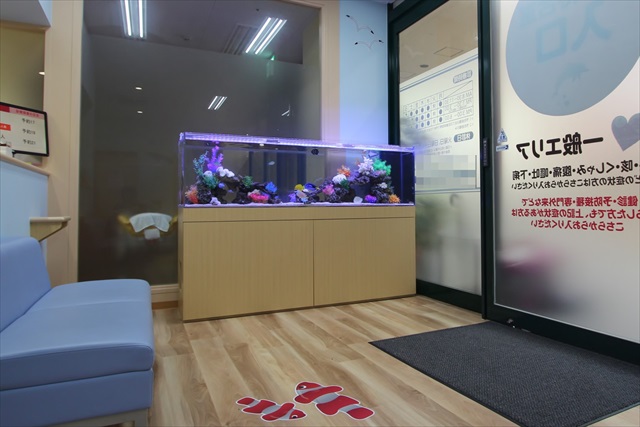 ファインディングニモ水槽！？｜群馬アクアガーデン