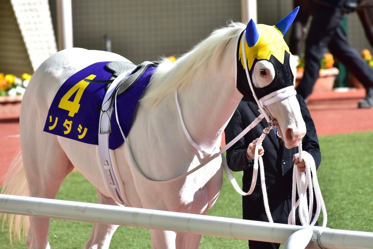 JRA ソダシ吉田隼人騎手の3年前の“決心”とは!? オークス（G1）大本命で