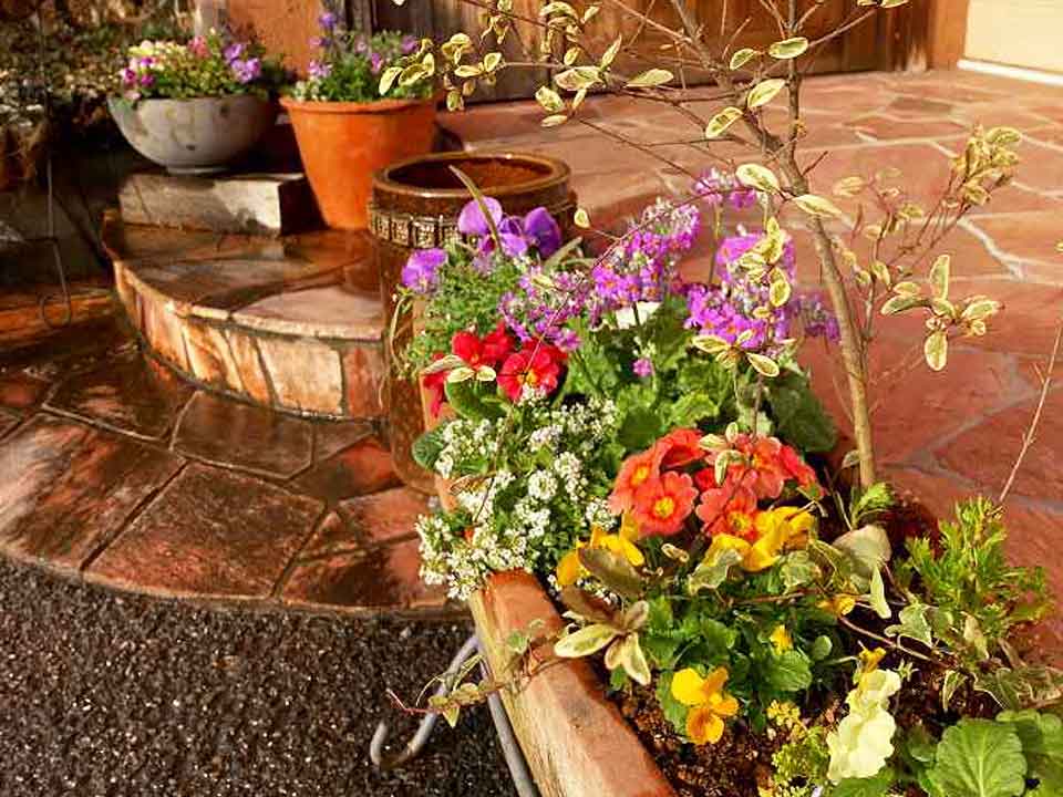 花壇、寄せ植え管理 – (株)岳陽グリーン 造園 植木屋 エクステリア