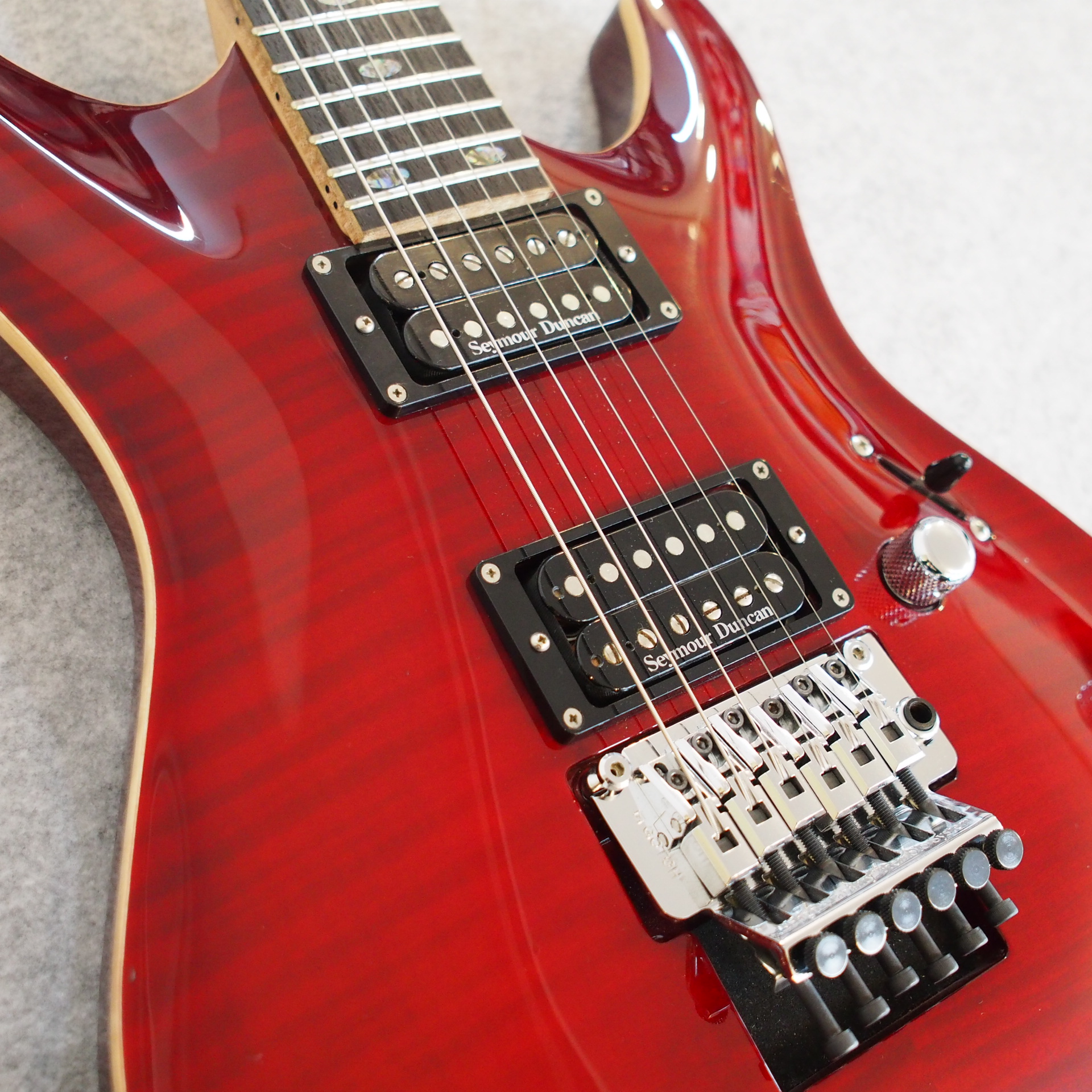 Fujigen EEL-FM-DL-HH（ハードケース付き）