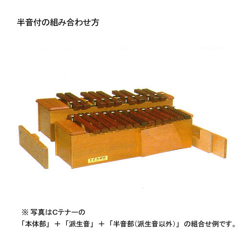 こおろぎ社 木琴・卓上木琴（シロボックスホーン アルト）・楽器販売