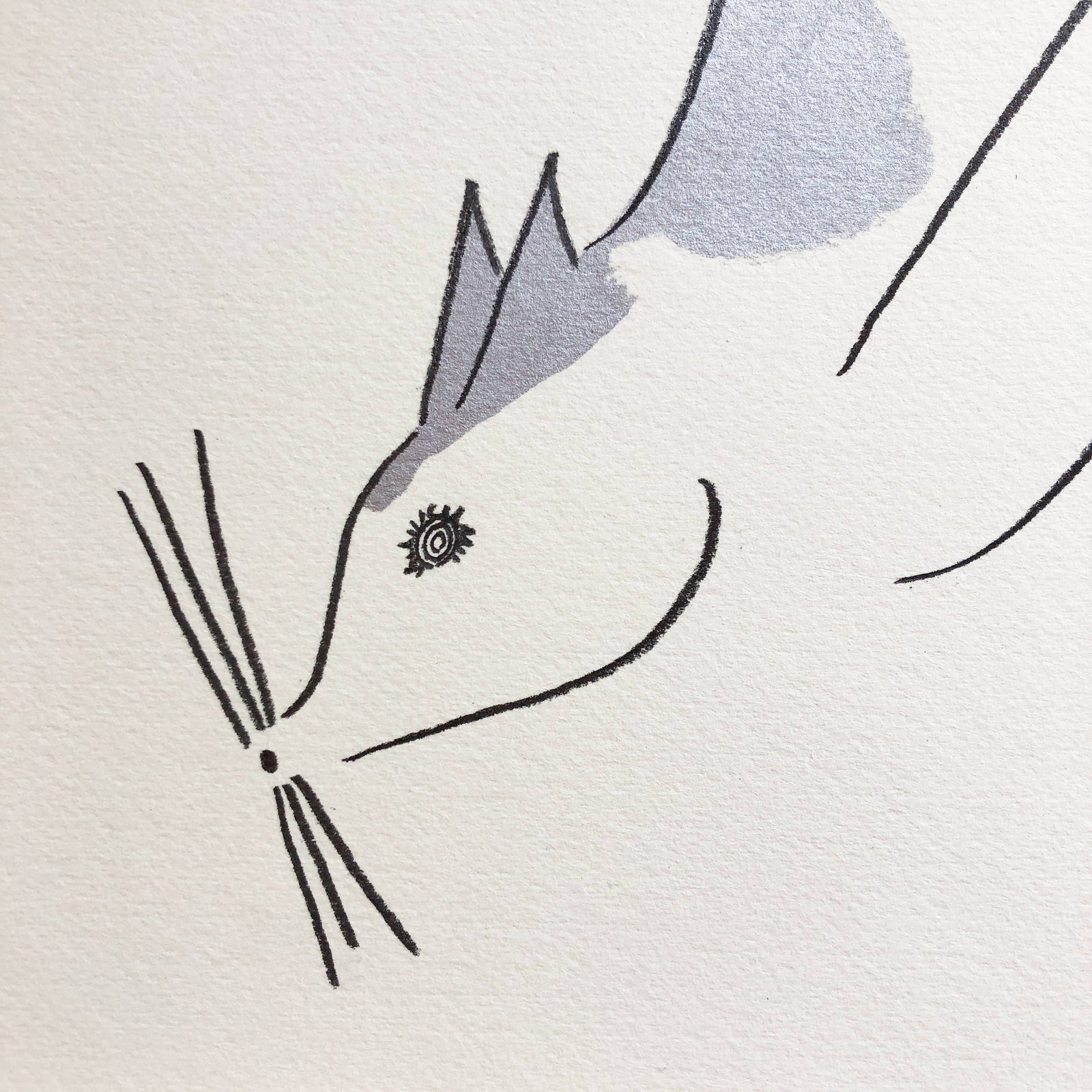 山口一郎 Cat C サイズM | G.E.M ONLINE STORE – ラグ・絨毯専門店