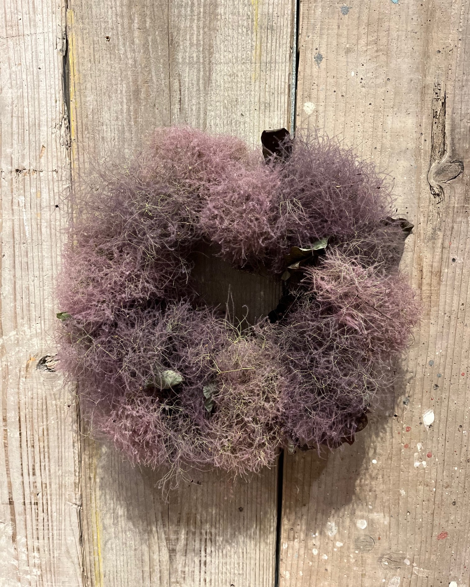 ドライフラワーリース 】スモークツリー | garage living with plants